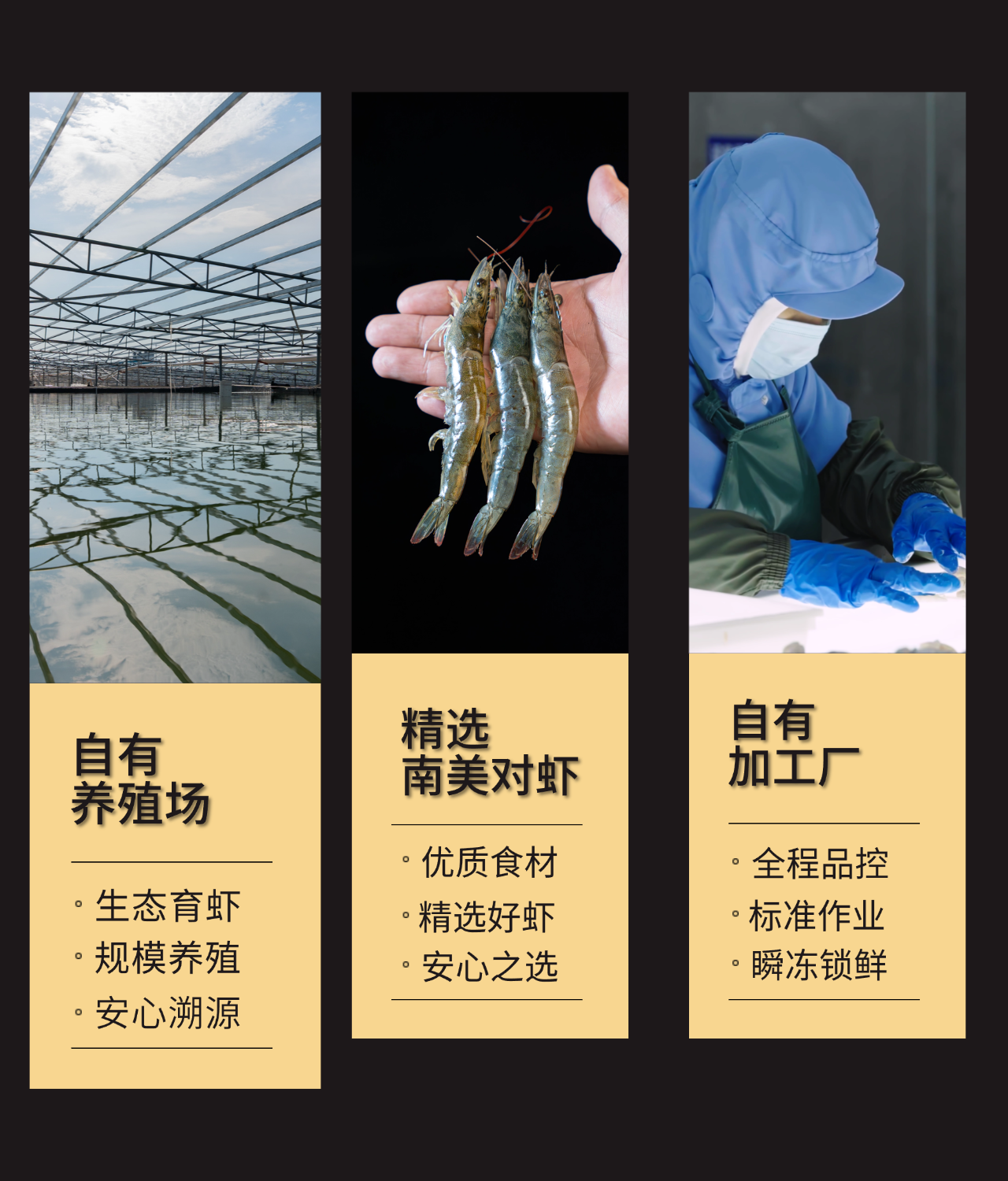 69abe42000025ec419e2d8d1410d7615000000a000004f50.png