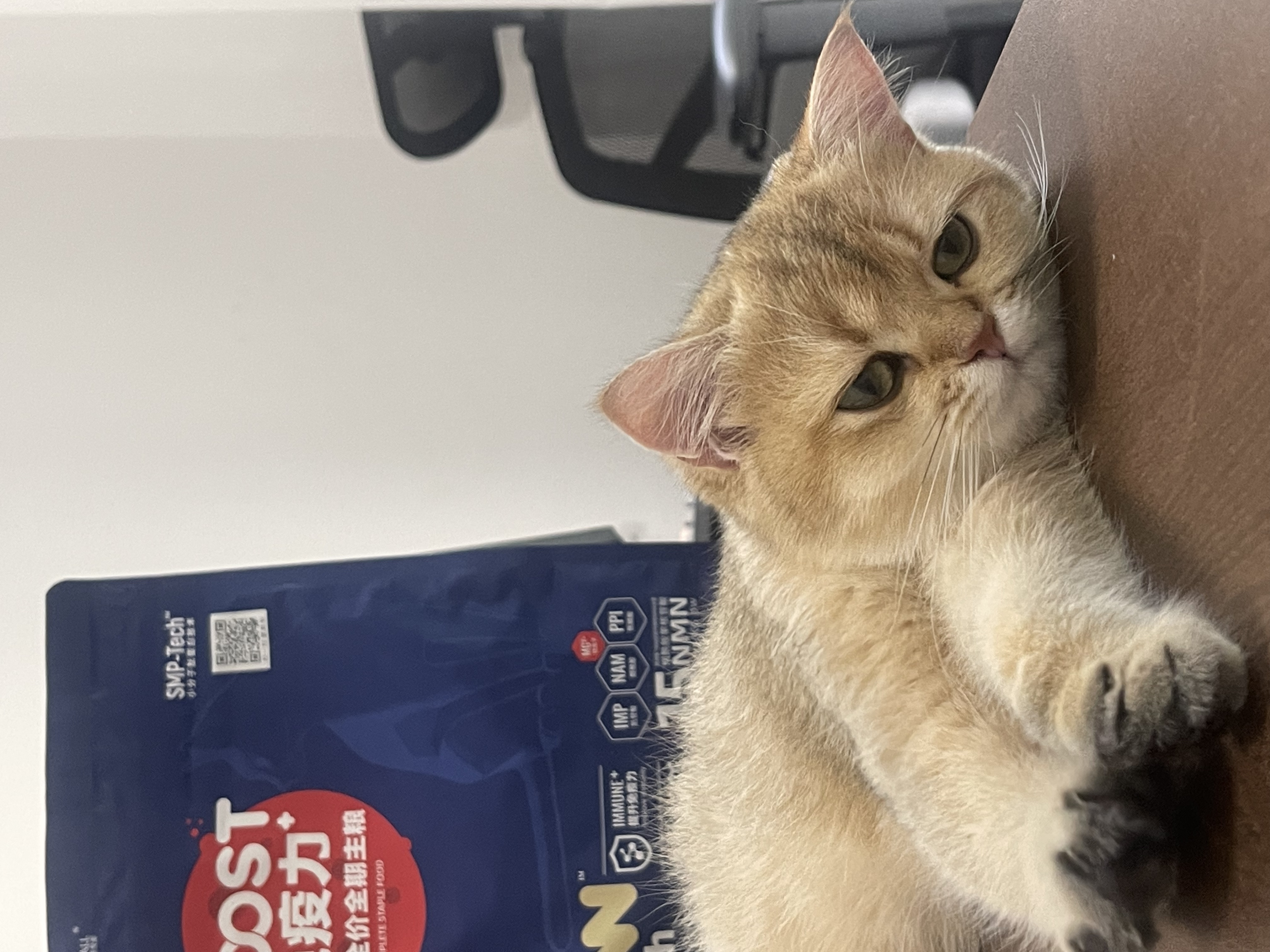BOOST系列-猫用全期全价主粮-6.jpg